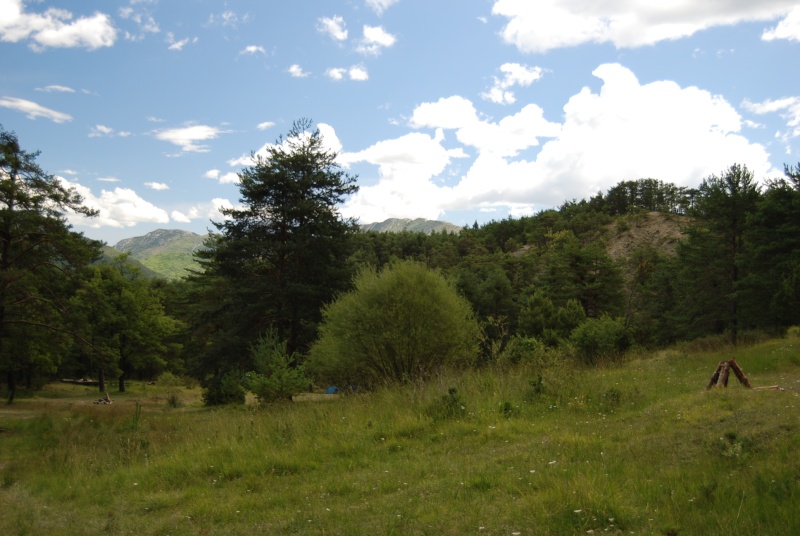 dsc_0221.jpg