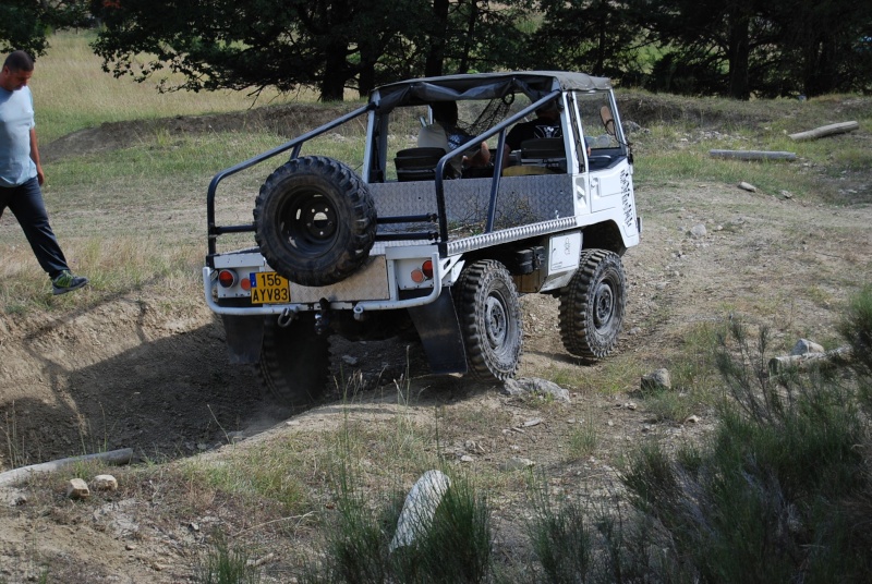dsc_0229.jpg