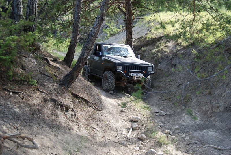 dsc_0320.jpg