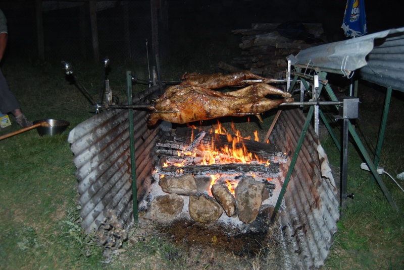 dsc_0731.jpg