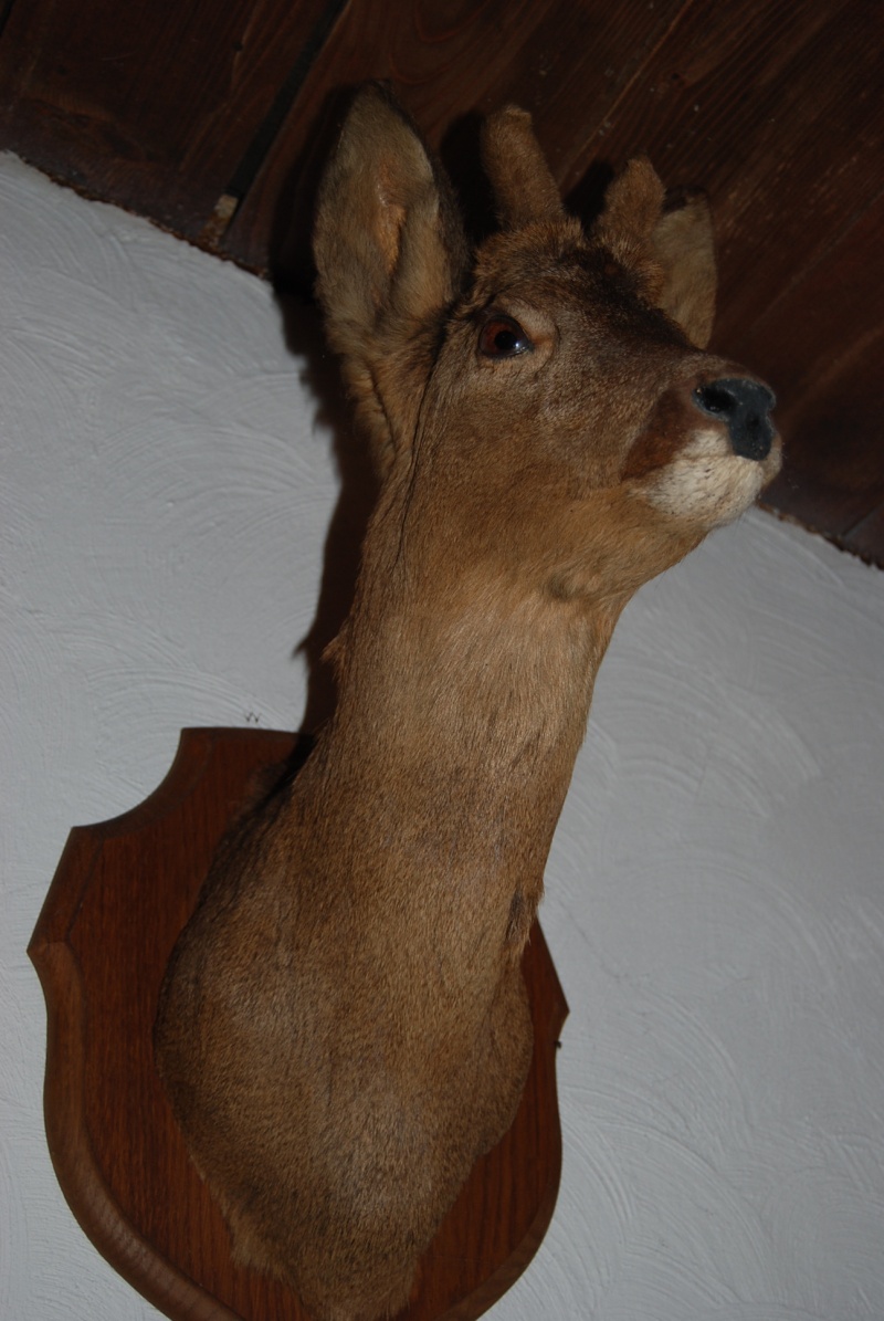 dsc_0818.jpg
