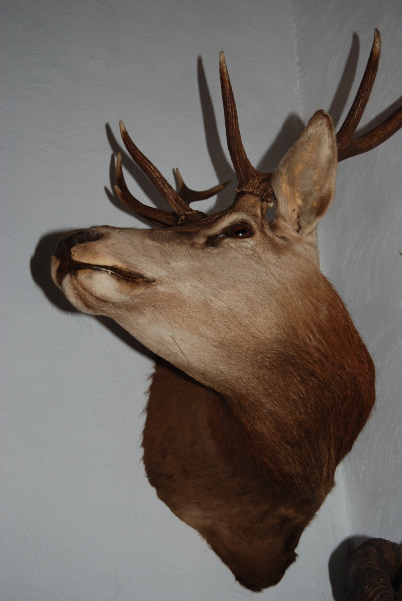 dsc_0819.jpg