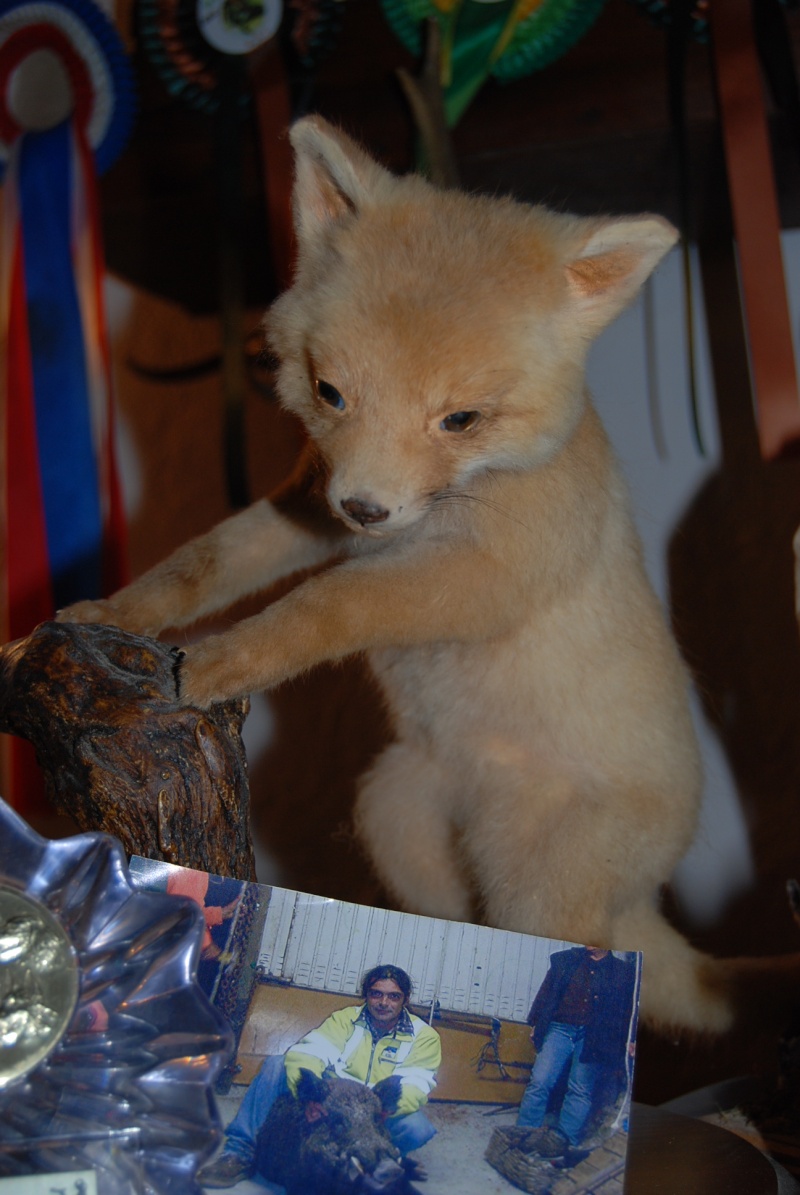 dsc_0820.jpg
