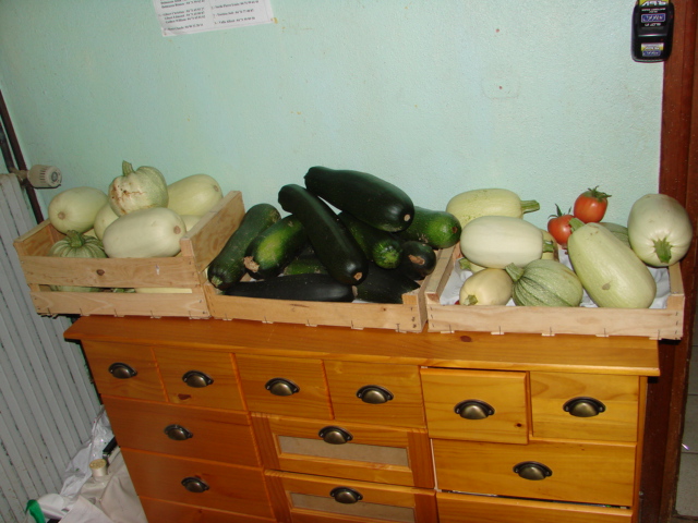 courge10.jpg