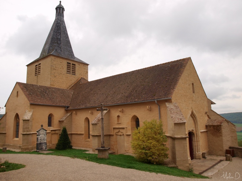 Image hébergée par servimg.com