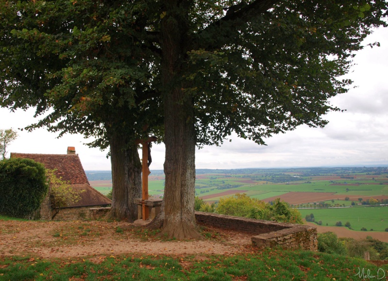Image hébergée par servimg.com