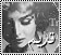 لا مساهمات جديدة