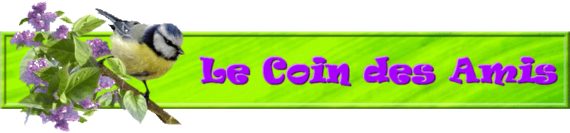 Le Coin des Amis