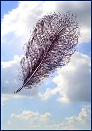 Un mot invisible dans LES 4 SAISONS plumes10