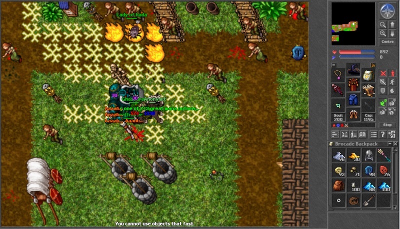 morren10.jpg