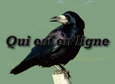 Qui est en ligne ?