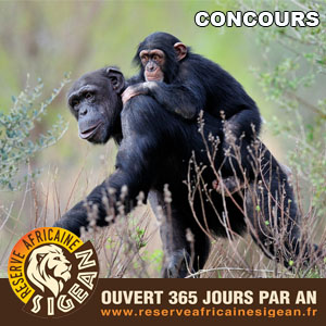 Tentez de gagner des entres pour la Rserve Africaine de Sigean