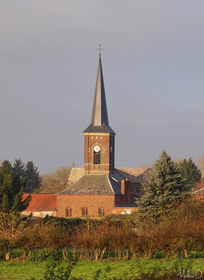 14646310