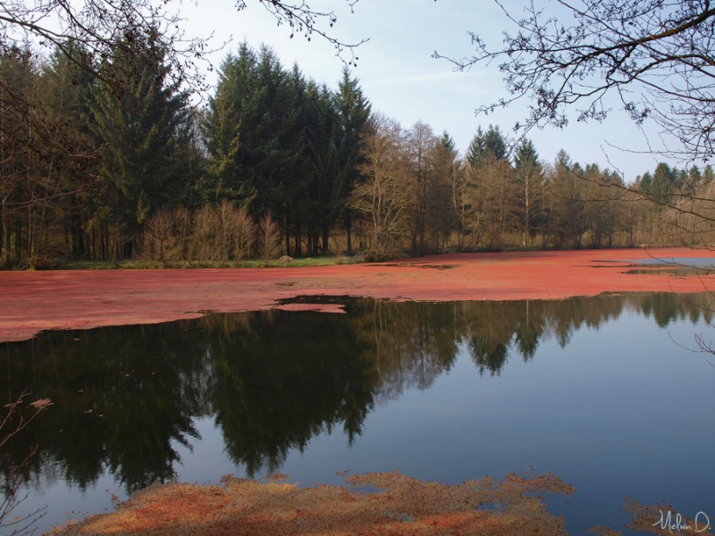 p3284511