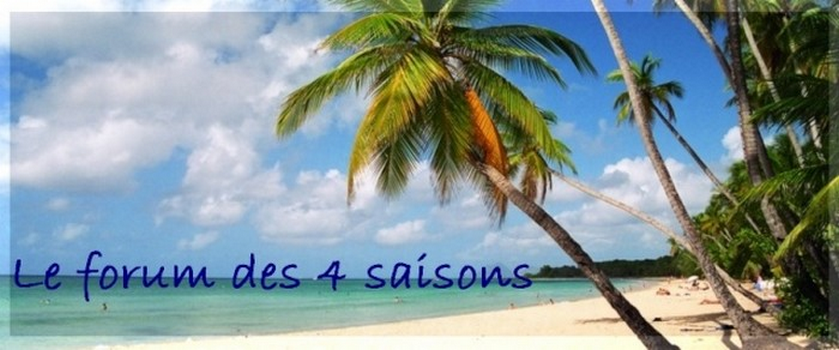 LE FORUM DES 4 SAISONS