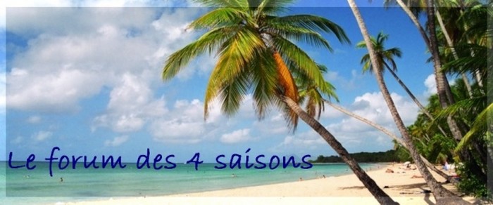 LE FORUM DES 4 SAISONS