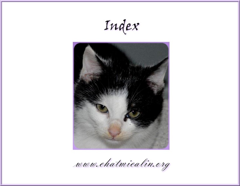 index11.jpg