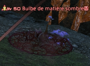 bulbe011.png