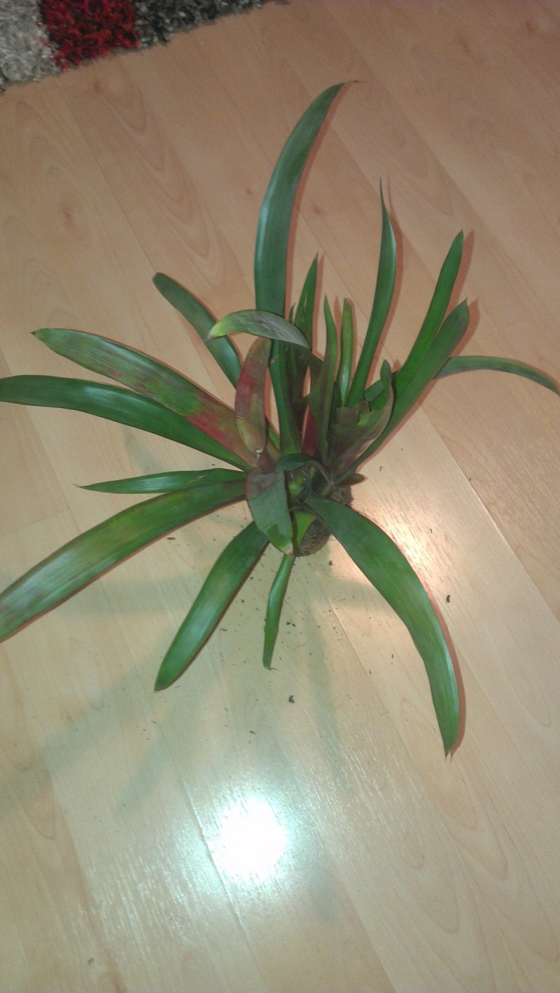 imag0623.jpg