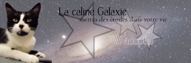 galaxi10.jpg