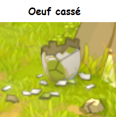 oeuf_c10.png