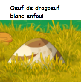 oeuf_d12.png